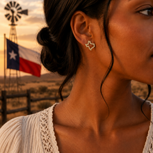 Load image into Gallery viewer, Texas Pave Crystal Earrings